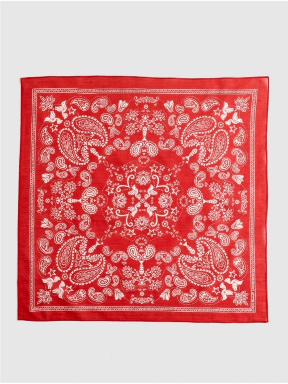 Organic Cotton Bandana nwot